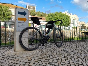 Canyon Grizl