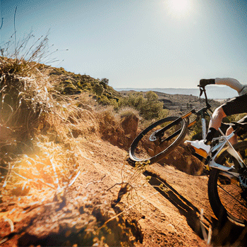 Mondraker Raze Carbon