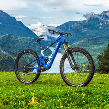 Mondraker Neat