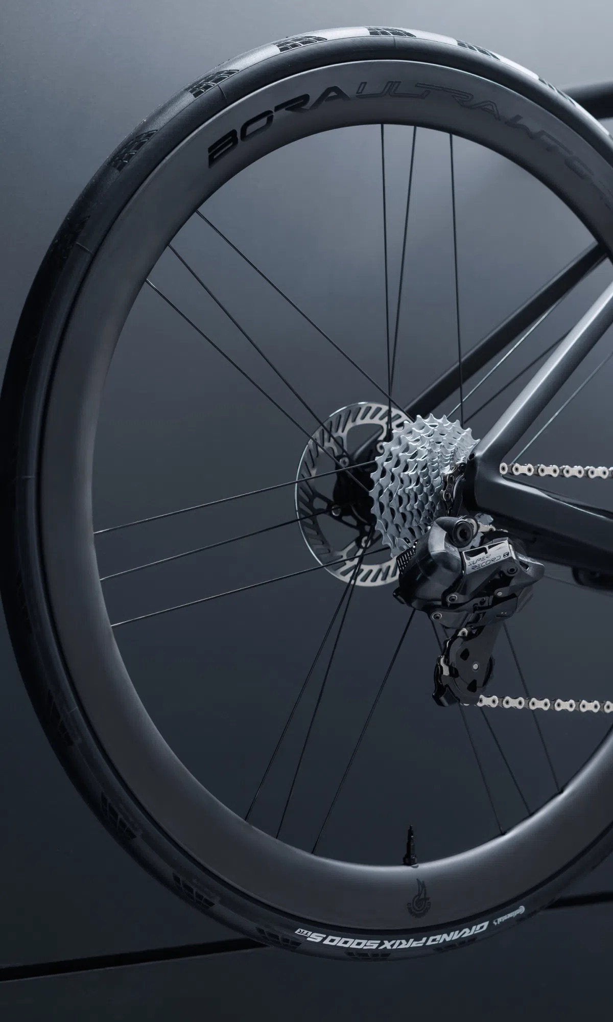rodas campagnolo