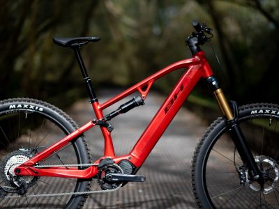 BH Atome Lynx