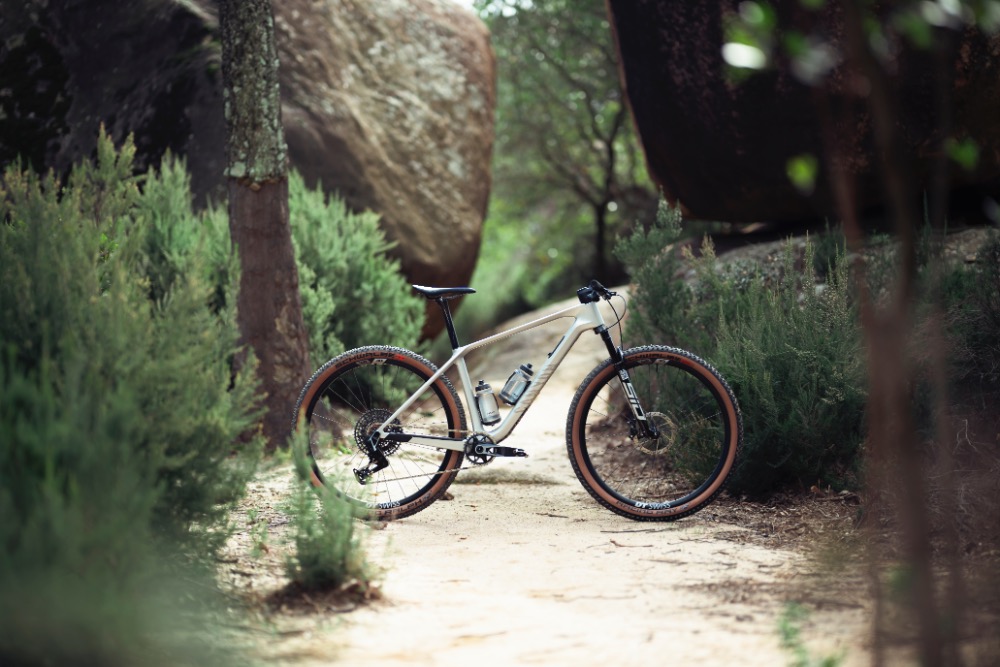 Canyon Exceed 2025
