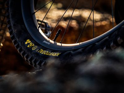 Hunt Proven Carbon