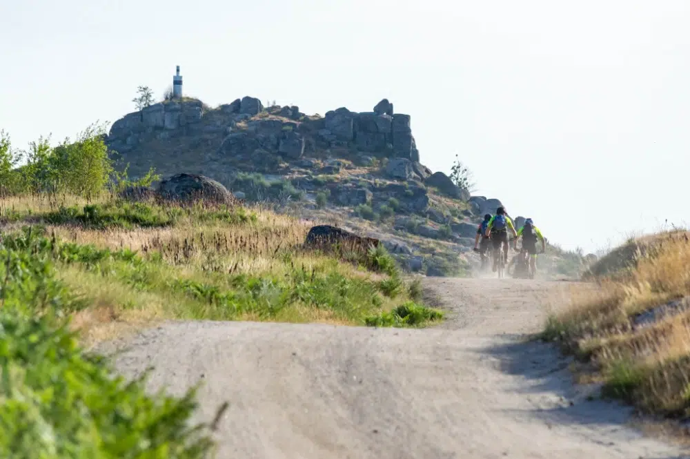 Mountain Quest Survival