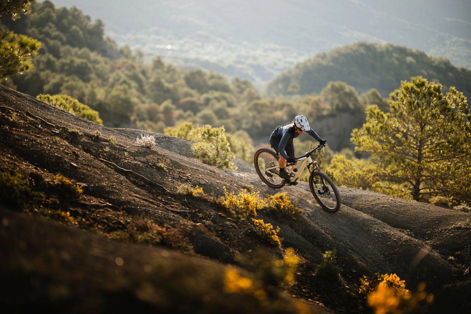 Orbea Occam