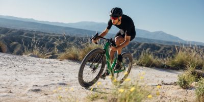 Wilier Rave SLR ID2